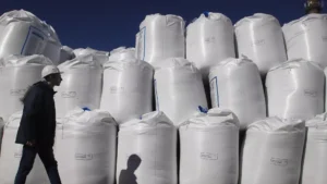 © Sputnik / Денис Абрамов / Перейти в фотобанк